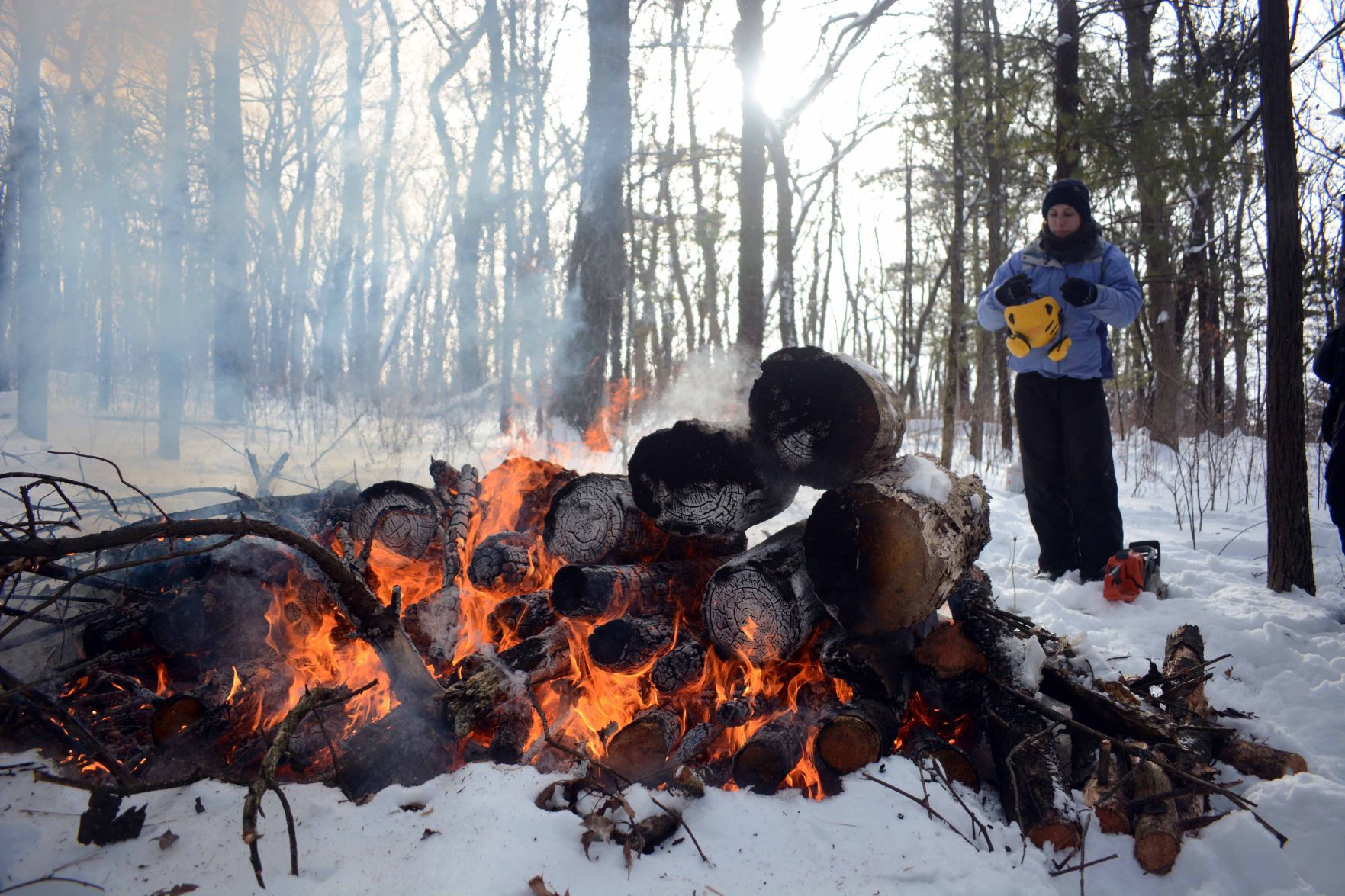 Devil's Lake east bluff stewardship work